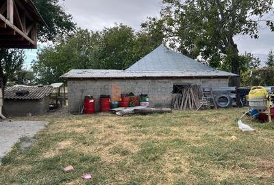 Teren Construcții intravilan de 5001 mp, în Gălbinași - 3
