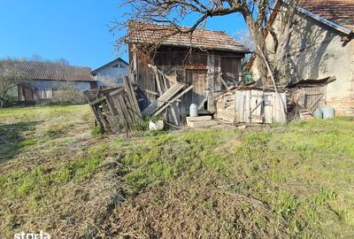 Casă cu 4 camere cu Teren 15000 Mp în Bichiș - 4