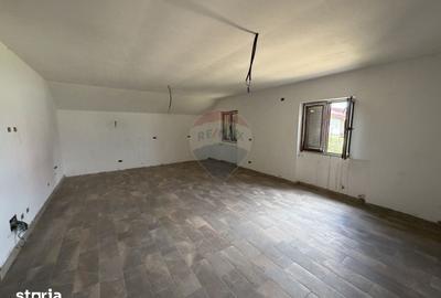 Casă cu 5 camere cu Teren 3960 Mp în Milcovul - 16