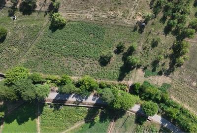 Teren de 2181 mp, în Hărțăgani