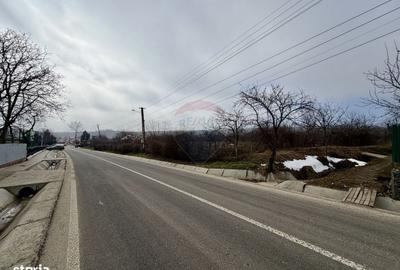 Casă cu 4 camere în Blidari - 5