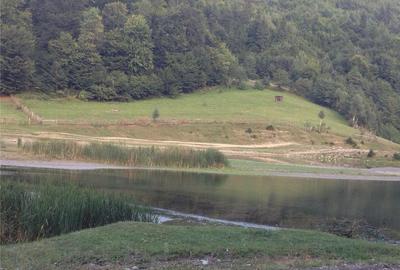 Teren de 6000 mp, în Central - 1