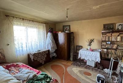 Casă cu 2 camere cu Teren 4535 Mp în Ateaș - 3