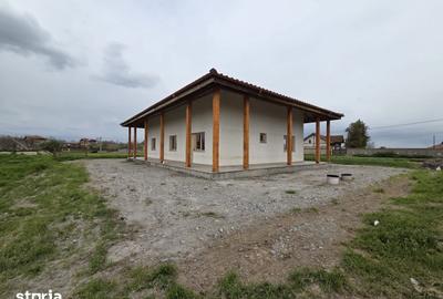 Casă cu Teren 1400 Mp în Valea Nucarilor - 13