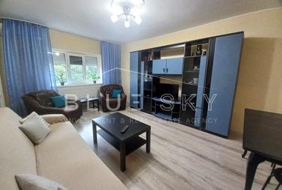 Apartament cu 2 camere decomandat, mobilat în Brotăcei