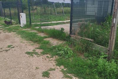 Spațiu comercial, în Dârza - 2