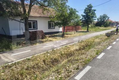Casă cu 3 camere cu Teren 1500 Mp în Tormac - 6