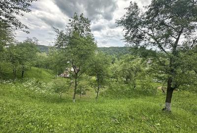 Teren de 2400 mp, în Telega - 4