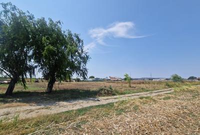 Teren Construcții intravilan de 550 mp, în 1 Decembrie - 2