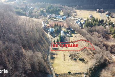 Teren de 1500 mp, în Tulnici - 9