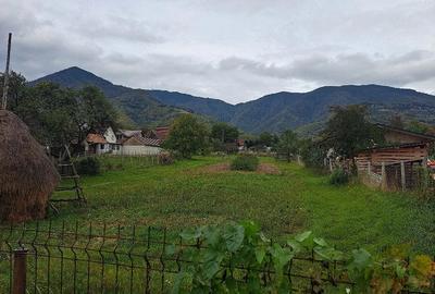 Teren de 36000 mp, în Prundu Bârgăului - 1