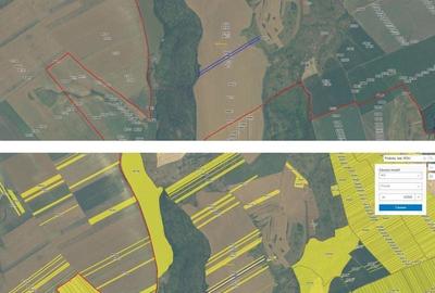 Teren de 15900 mp, în Probota - 7