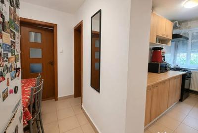 Apartament cu 2 camere semidecomandat în Șagului