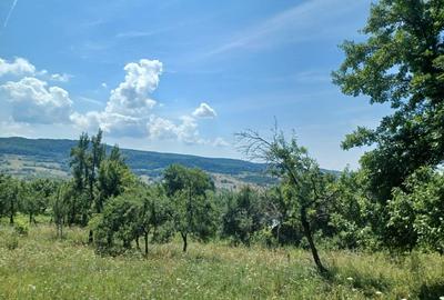 Teren Construcții intravilan de 24141 mp, în Drăghici - 7