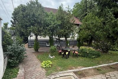 Casă cu 4 camere în Botizului
