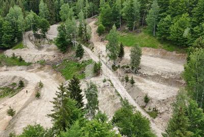 Teren Construcții extravilan de 18000 mp, în Exterior Sud - 50