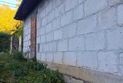 Casă în Pădurea Neagră