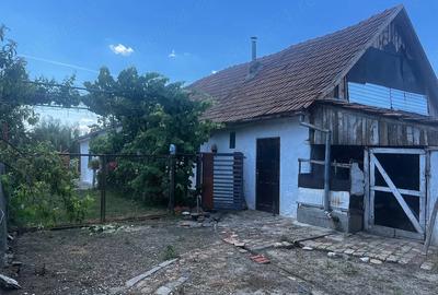 Casă cu Teren 2900 Mp în Jamu Mare - 7