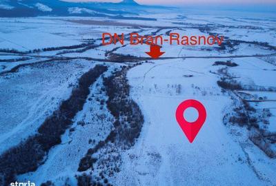 Teren de 10000 mp, în Pănicel - 1