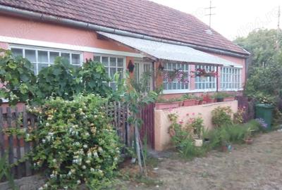 Casă cu 3 camere în Chegea - 5