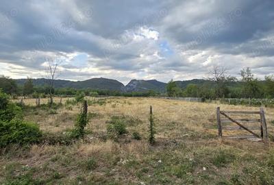 Teren de 8510 mp, în Polovragi - 3