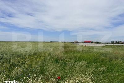 Teren de 1500 mp, în Brazda lui Novac - 5