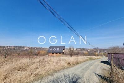 Teren Construcții intravilan de 8000 mp, în Daia - 3