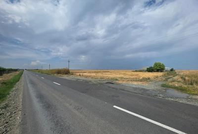 Teren Construcții intravilan de 20000 mp, în Mihail Kogălniceanu