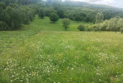 Teren de 5800 mp, în Scrădoasa