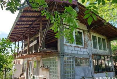 Casă cu 3 camere cu Teren 3290 Mp în Drănic - 5