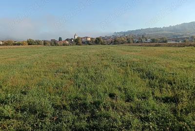 Teren de 3800 mp, în Central