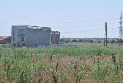 Teren agricol intravilan de 1666 mp, în Periferie - 2