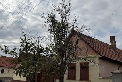 Casă cu 7 camere cu Teren 2759 Mp în Chizătău