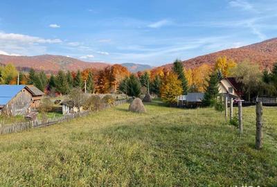 Teren de 2300 mp, în Trăisteni - 1