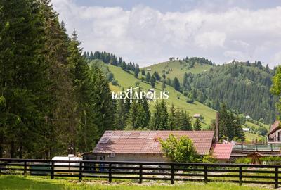 Teren Construcții intravilan de 12307 mp, în Moieciu de Sus - 8