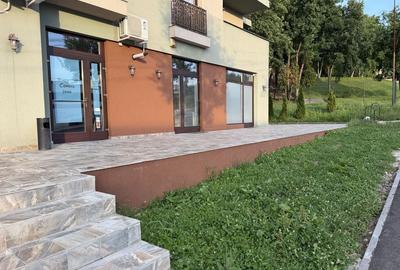 Spațiu comercial, de 130 mp, în Tudor Vladimirescu - 3