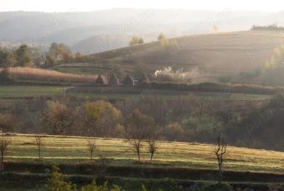 Teren de 20000 mp, în Târnova - 1