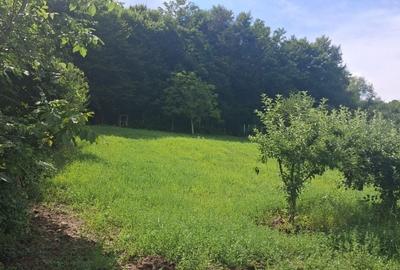 Casă cu 4 camere în Argeșelu - 2