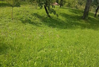 Teren de 2300 mp, în Runcu - 4