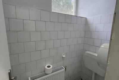 Spațiu comercial, de 96 mp, în Brazda lui Novac