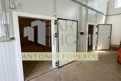 Spațiu comercial, de 1,086 mp, în Valea Călugărească - 7