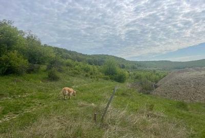 Teren de 1000 mp, în Corunca - 1
