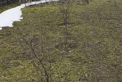 Teren de 1168 mp, în Frumușița - 8