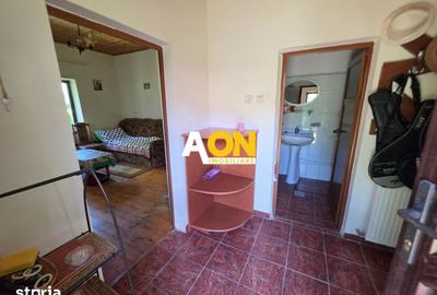Casă cu 3 camere cu Teren 7050 Mp în Pianu - 9