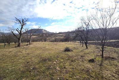 Teren de 3800 mp, în Moigrad-Porolissum - 2