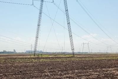 Teren Construcții intravilan de 16200 mp, în Domnești - 2