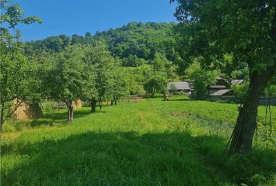Casă în Săliște - 5