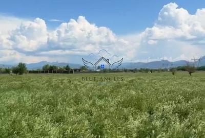 Teren agricol intravilan de 1952 mp, în Sânpetru - 3