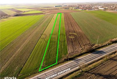 Teren de 5000 mp, în Tămășeu - 5