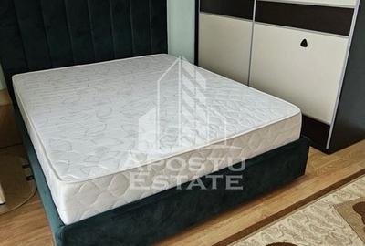 Apartament cu 2 camere decomandat în Dumbrăvița - 2